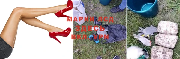 крисы Богородицк