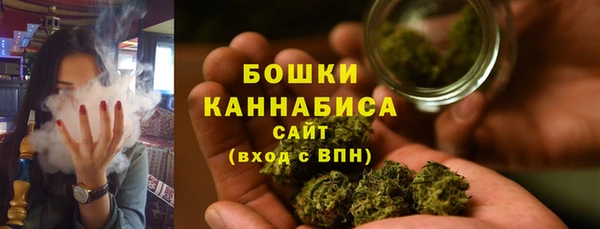 крисы Богородицк