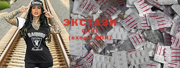 крисы Богородицк