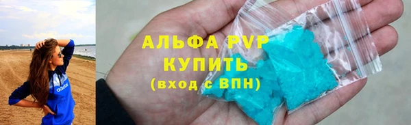 крисы Богородицк