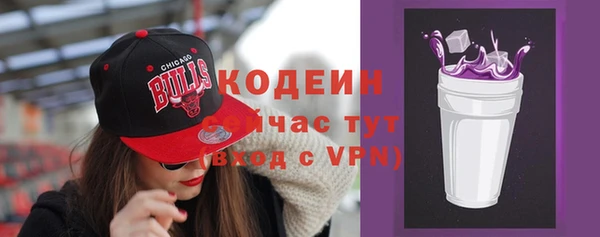 крисы Богородицк