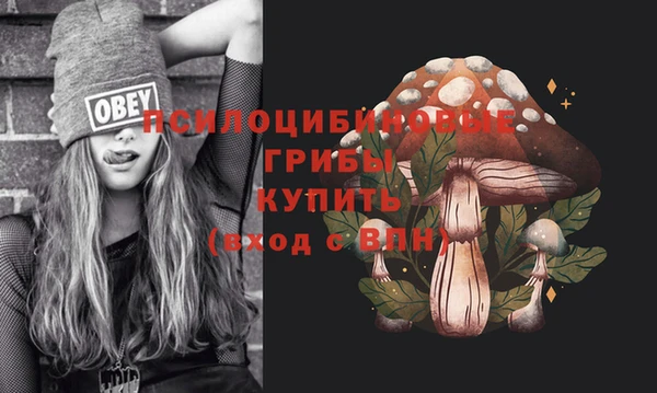 a pvp Богданович