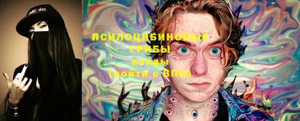 крисы Богородицк