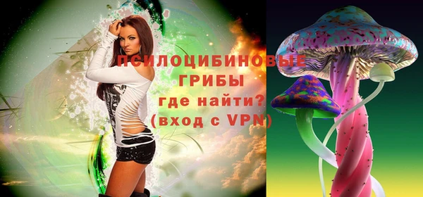 крисы Богородицк